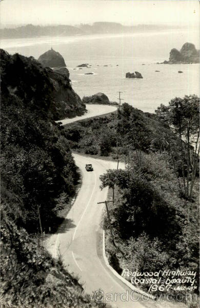 Redwood Highway Costal Beauty California