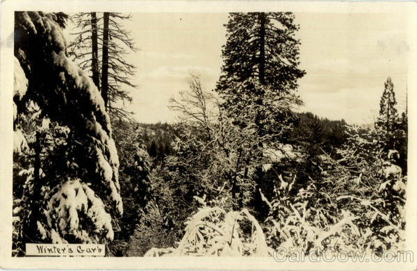 Winter's Garb Winter Scene Landscapes