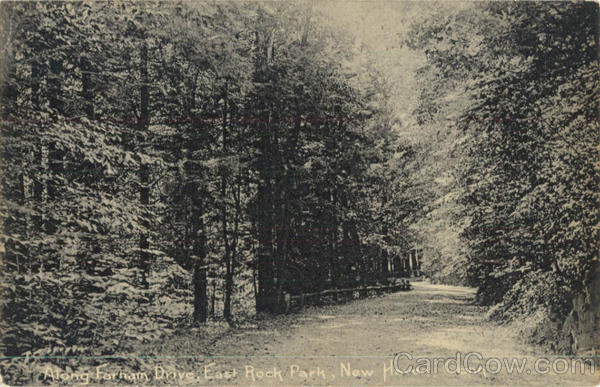 Along Farnam Drive, East Rock Park New Haven Connecticut