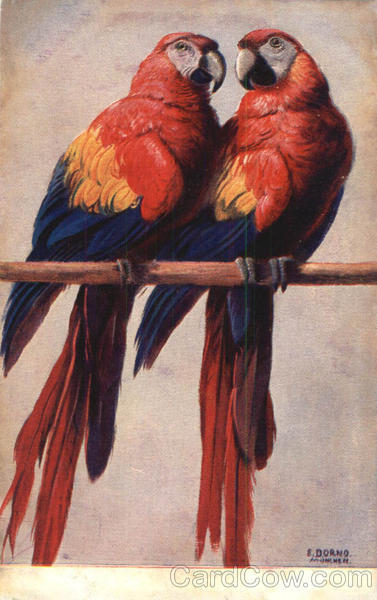 Two Parrots - E. Dorno Artist Signed