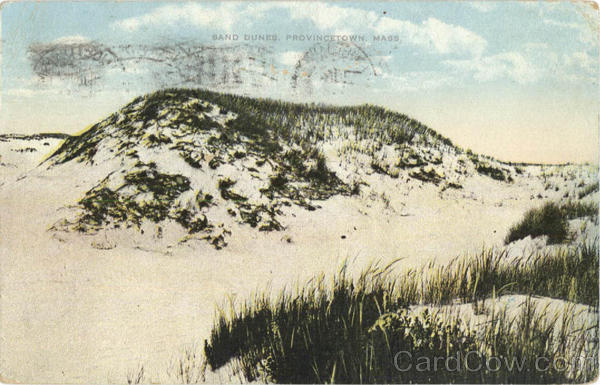 Sand Dunes Provincetown Massachusetts