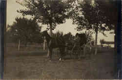 Man with Horse and Buggy Postcard