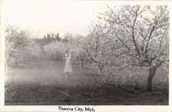 Woman in Orchard Postcard