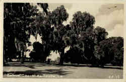 Gabriel Oak Postcard