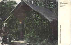 The Hermitage Postcard