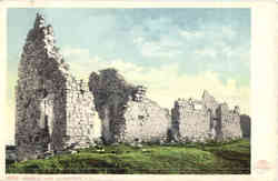 Ruins of Fort Postcard