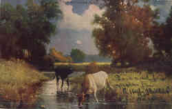 The Watering Place Postcard