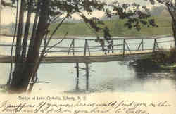 Bridge at Lake Ophelia Postcard