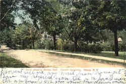 Drive Showing Banes Hall, Cornell University Postcard