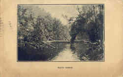 Ilion Gorge Postcard