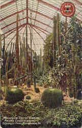 Magnificent Cactus Display, Schenley Park Postcard