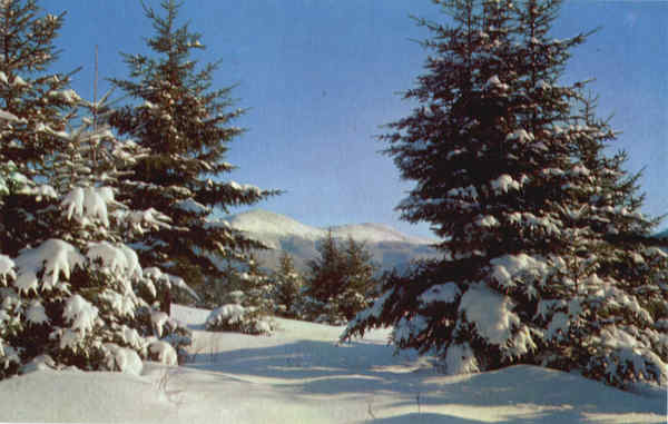 Winter is a Time of Enchantment Scenic