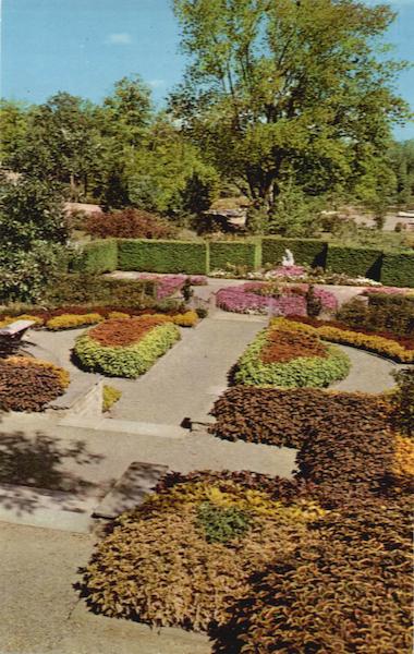 Coleus in Formal Gardens, Kingwood Center 900 Park Avenue West Mansfield Ohio