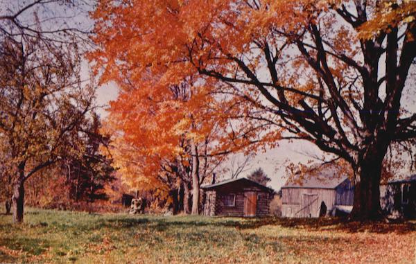 Autum's Colors Scenic