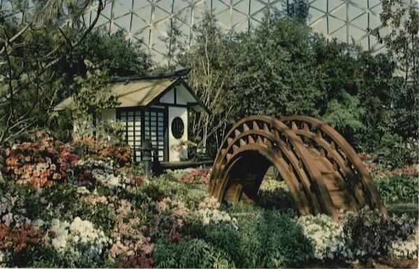 Azalea Show - Japanese Garden Milwaukee Wisconsin