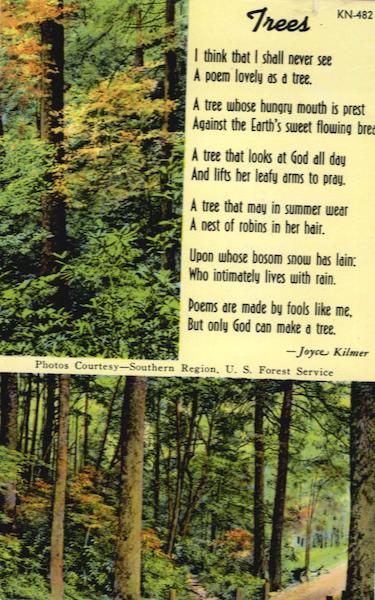 Trees - Joyce Kilmer Poems & Poets