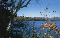 Crystal Lake Gilmanton, NH Postcard Postcard