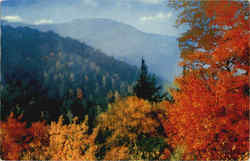 Mt. Mitchell and Autumn Color Blue Ridge Parkway, NC Postcard Postcard