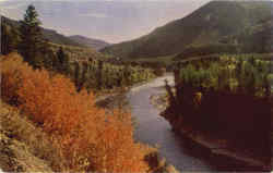 Grand Canyon of the Snake River Wyoming Postcard Postcard