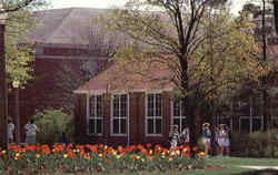 Campus in the Spring, Northeast Missouri State University Kirksville, MO Postcard Postcard