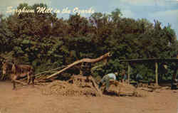 Sorghum Mill in the Ozarks Missouri Postcard Postcard