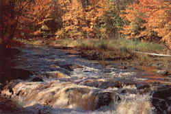 Autumn in the North Carolina Mountains Scenic, NC Postcard Postcard