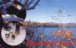 Connecticut Lakes Postcard