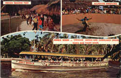 Jungle Queen III Fort Lauderdale, FL Postcard Postcard
