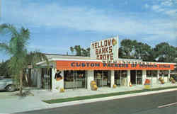 Yellow Banks Grove, 14423 Indian Rocks Road Postcard