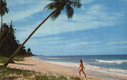 Puerto Rico Beach Aguadilla, PR Postcard Postcard