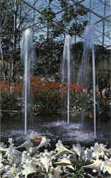 Easter Show-Fountain/Lilies, Mitchell Park Horticultural Conservatory Postcard