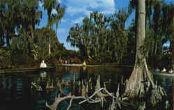 Lake Eloise Cypress Gardens Miami, FL Postcard 