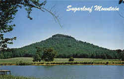 Sugarloaf Mountain Greer's Ferry Lake, AR Postcard Postcard