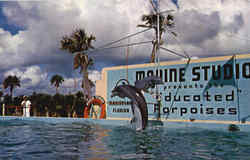 Marine Studios Postcard