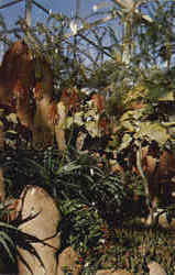 Mitchell Park Horticultural Conservatory Postcard