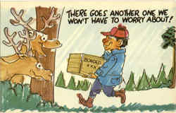 Moose Hunting Drinking Postcard Postcard