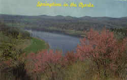 Springtime in the ozarks Postcard