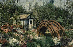 Azalea Show - Japanese Garden Postcard