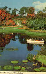 Forida's Tropical Wonderland Postcard