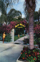 Weeki Wachee Clearwater, FL Postcard Postcard