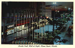 Lincoln Road Mall at Night Miami Beach, FL Postcard Postcard