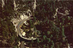 Pig Trail Bridge Postcard