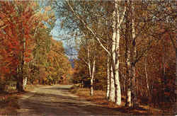 A Country Road in Autumn Postcard
