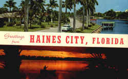 Greetings from Haines City Florida Postcard Postcard