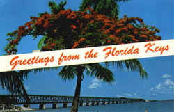 Greetings from the Florida Keys Scenic, FL Postcard Postcard