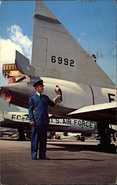 Cadet, Falcon and F-10 Aircraft Air Force