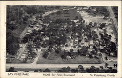 Bay Pines Park Postcard