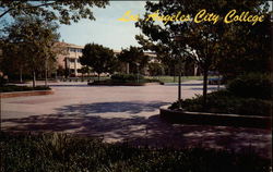 Campus, Los Angeles City College Postcard