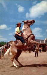 Ride' Em Cowgirl Postcard