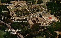 Golden Gate Park Postcard